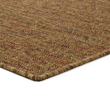 Asia 8209 Rug