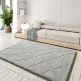 Silver Shaggy Rug Molier 8785