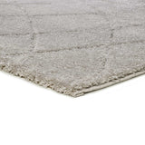 Silver Shaggy Rug Molier 8785